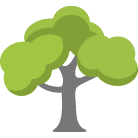 Tyler Tree Removal Service