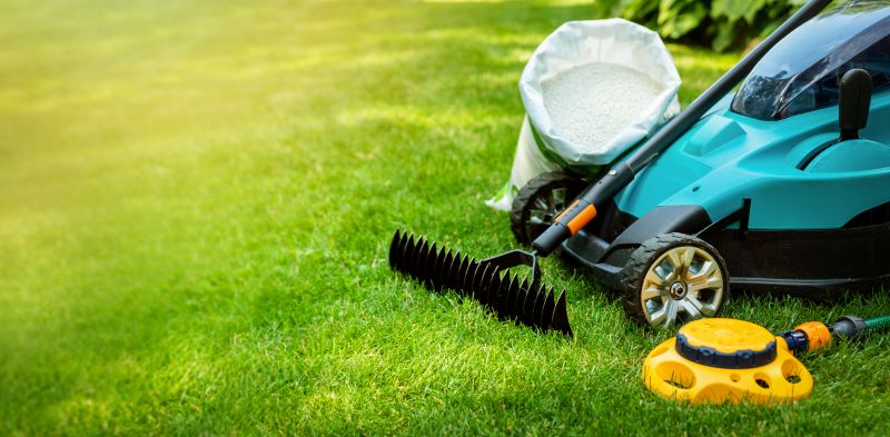 Clean Lawn After Leaf Clearing
