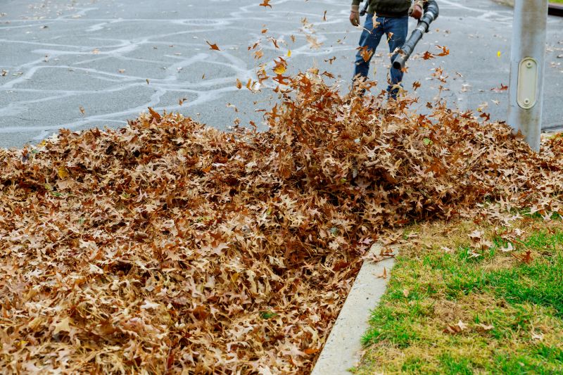 Leaf Collection Trucks
