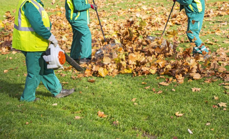 Leaf Collection Process