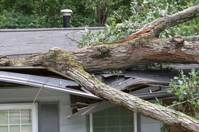 Storm Damage Assessment