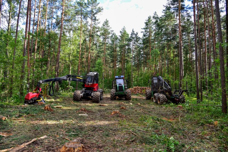 Tree Removal Equipment