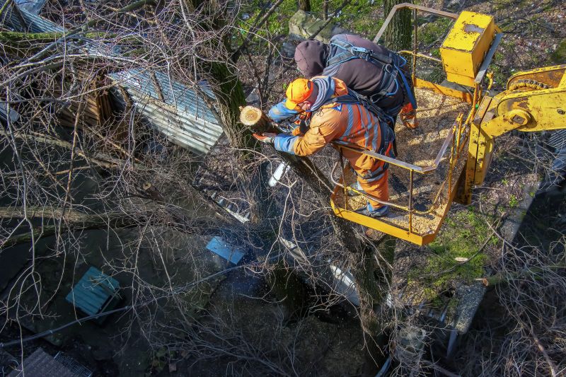 Tree Removal Service Vehicle