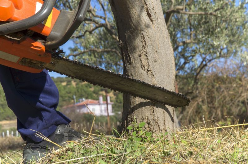 Summer Tree Service
