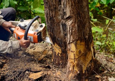 Landscaping Services
