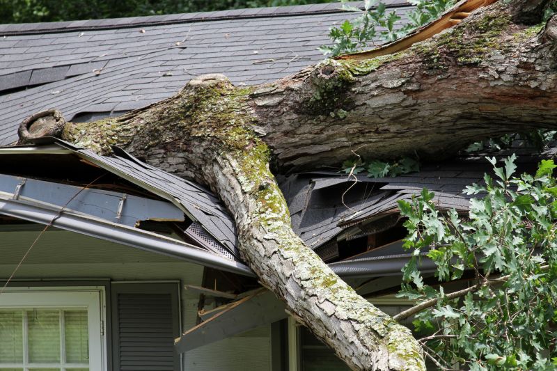 Insurance and Claims